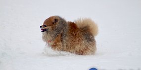 Снег в Оренбурге  