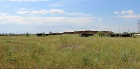 В Оренбурге может появиться тренировочная арена с искусственным льдом