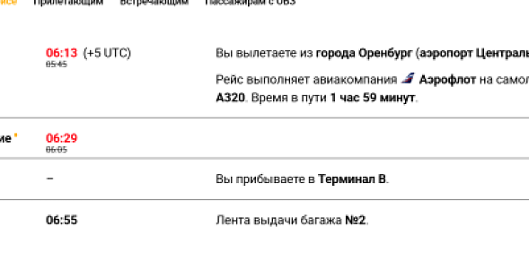 Около 20 рейсов были задержаны в аэропорту Шереметьево