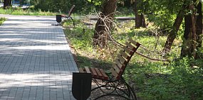 Как сейчас выглядит парк Строителей в Орске: кучи веток, новые дорожки и фигуры ангелов
