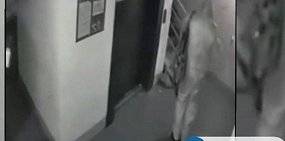 Убийство Дмитрия Ш.: новые подробности