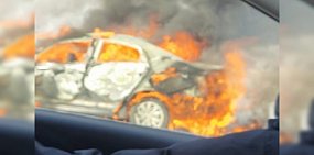 Стоп-кадр из видео