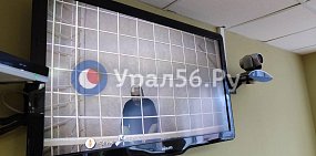 Ни израильского паспорта, ни недвижимости, ни дома: в Оренбурге суд отказал экс-главе минприроды Самбурскому в смягчении меры пресечения
