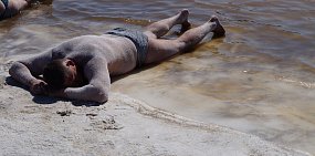 Курорт «Соленые озера» в Соль-Илецке откроют для отдыхающих уже в понедельник