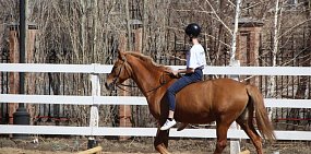 В Новотроицке на базе собора Петра и Павла откроется конный клуб для детей и взрослых 