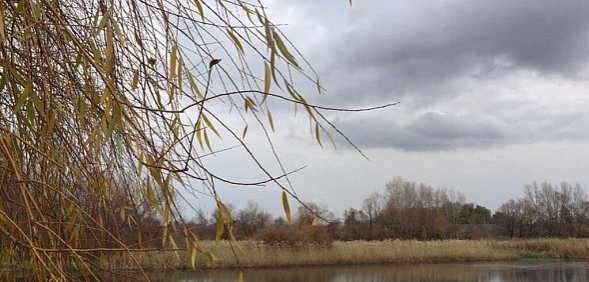 В первые дни ноября в Оренбургской области сохранится дождливая погода, затем ожидается мокрый снег