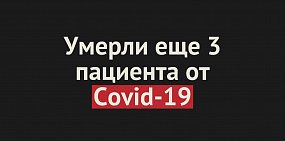 Умерли еще 3 пациента от Covid-19 в Оренбургской области. Общее число смертей — 405