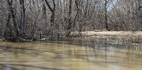 Ириклинское водохранилище наполнилось на 98,6%