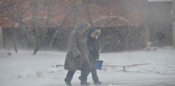 Метель в Оренбургской области. Фото из архива