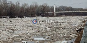 Урал в Оренбурге вырос за сутки на 74 см, Жарлы в Адамовке поднялась почти на 3 метра