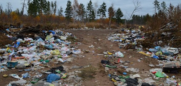 Свалка в Оренбургской области. Фото из архива