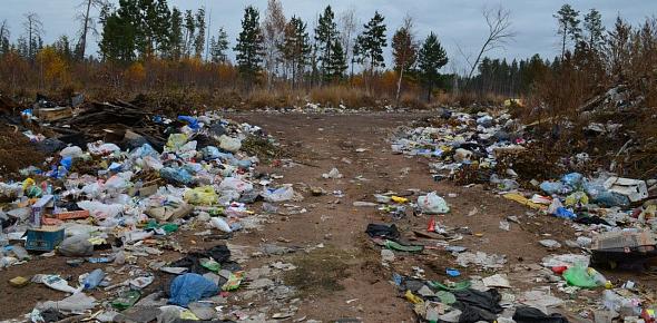 Свалка в Оренбургской области. Фото из архива