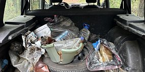 Мусор с территории нацпарка. Источник: Пресс-служба Бузулукского бора