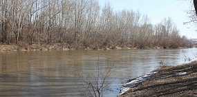  Уровень воды в большинстве оренбургских водоемов продолжает медленно расти
