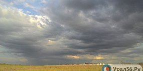 На просторах Оренбургской области. Фото из архива