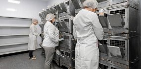 В Оренбурге Федеральный научный центр прокомментировал скандал при капремонте лаборатории для животных