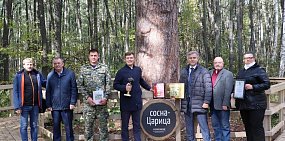 За объятия с Царицей-сосной из Бузулукского бора теперь будут штрафовать