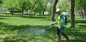 Оренбургские водоемы обработают от личинок комаров