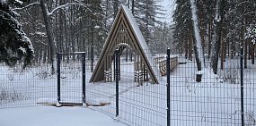 Входная группа. Фото нацпарка «Бузулукский бор»