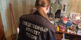 Дочь насмерть избила мать ломом в Оренбургской области