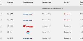 Два утренних самолета из Москвы в Оренбург отменили