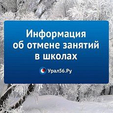 Мороз и сильный ветер: Когда отменяют занятия в школах?