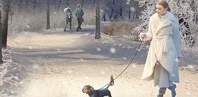 Идеи и пожелания по преображению сада Шевченко Орска у жителей спрашивают через Интернет